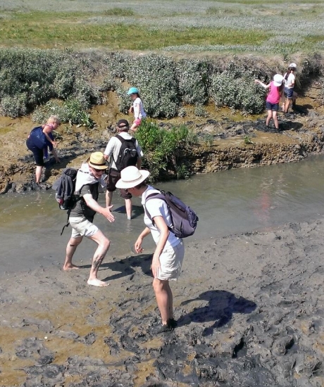 Balade guidée "Aventure en Baie d'Authie"