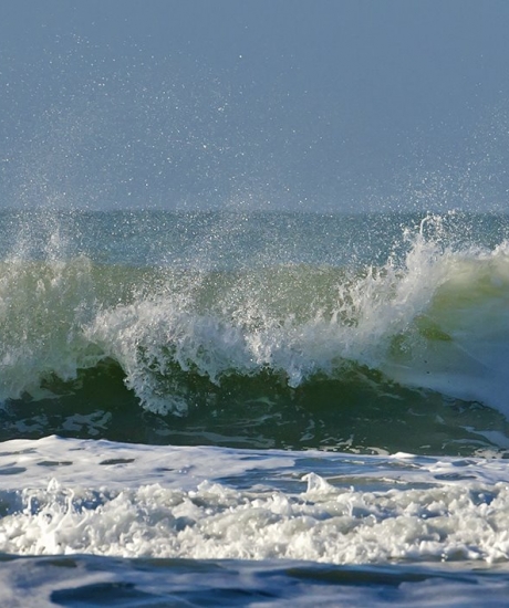 Balade guidée "Les grandes marées"