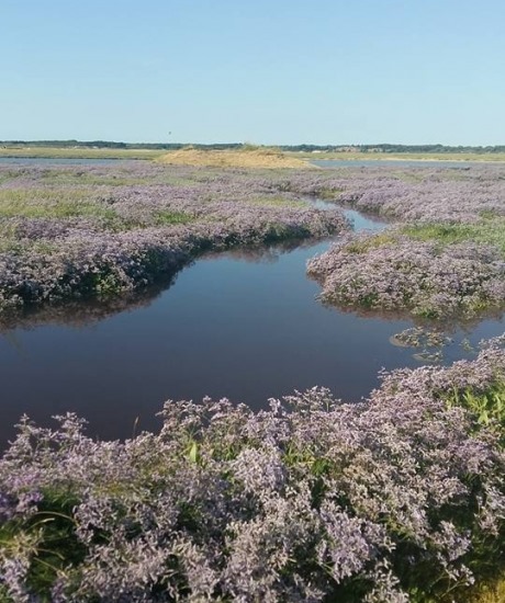 A la découverte de la baie d'Authie