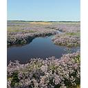 A la découverte de la Baie d'Authie (Enfant -12ans)