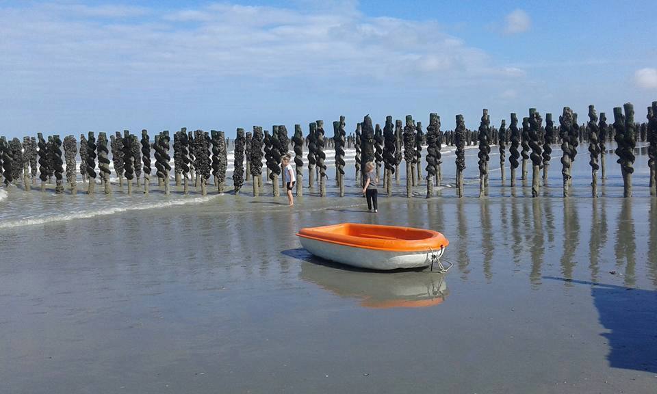A la découverte des bouchots à bassieu