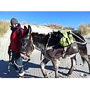 Escap'ânes (Adulte)