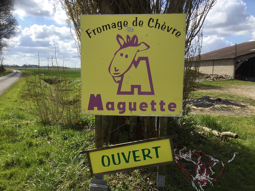 Visite chèvrerie